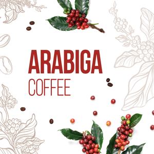 MOCHACCINO MILK CHOCOLATE BAR - Arabica Coffee - Equator Postcard - All Natural - Kosher - 1.76 Oz