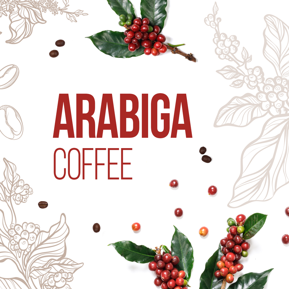 MOCHACCINO MILK CHOCOLATE BAR - Arabica Coffee - Equator Postcard - All Natural - Kosher - 1.76 Oz