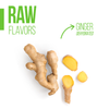 77% COCOA Organic Raw Chocolate Bar w Ginger - Tree to Bar - All Natural - Kosher - 1.76 Oz