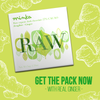 77% COCOA Organic Raw Chocolate Bar w Ginger - Tree to Bar - All Natural - Kosher - 1.76 Oz