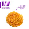 77% COCOA Organic Raw Chocolate Bar w Golden-berry - Tree to Bar - All Natural - Kosher - 1.76 Oz