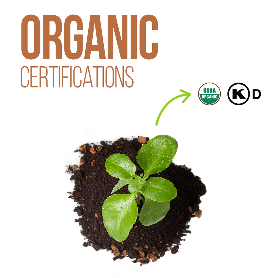77% COCOA Organic Raw Chocolate Bar w Quinoa - Tree to Bar - All Natural - Kosher - 1.76 Oz